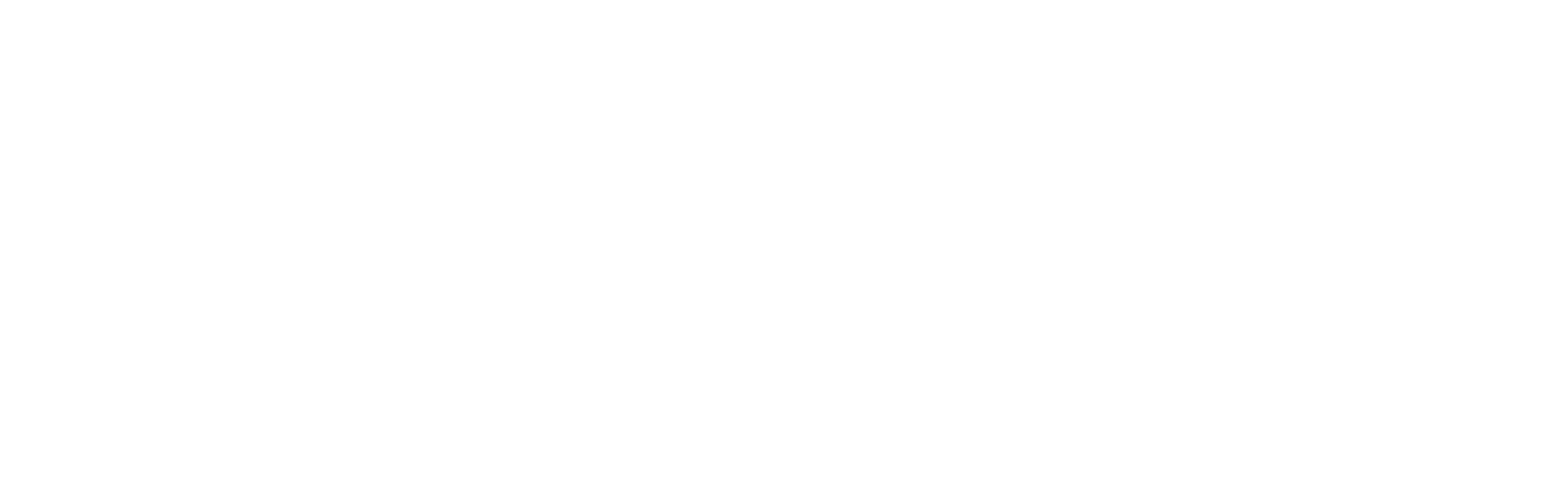 FLMT Logo